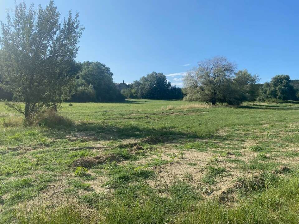 Terrain à MALATAVERNE