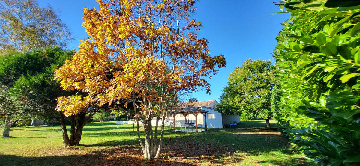 Maison à CUXAC-CABARDES
