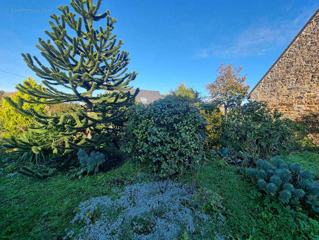 Maison à DUCEY