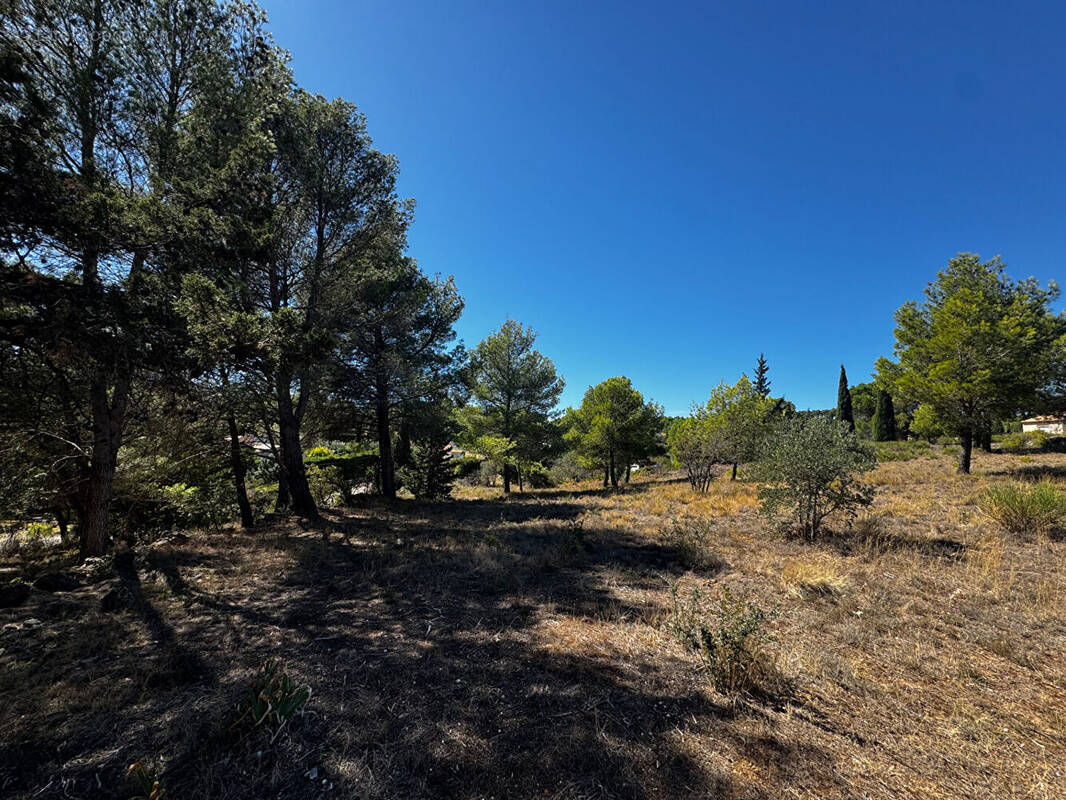 Terrain à LEZIGNAN-CORBIERES