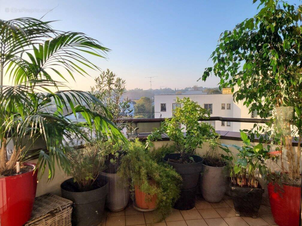 Appartement à JOINVILLE-LE-PONT