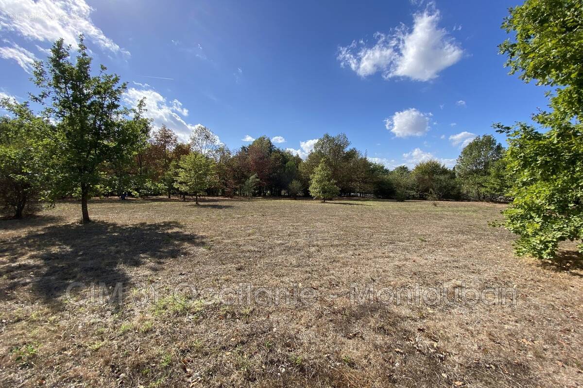 Terrain à NEGREPELISSE