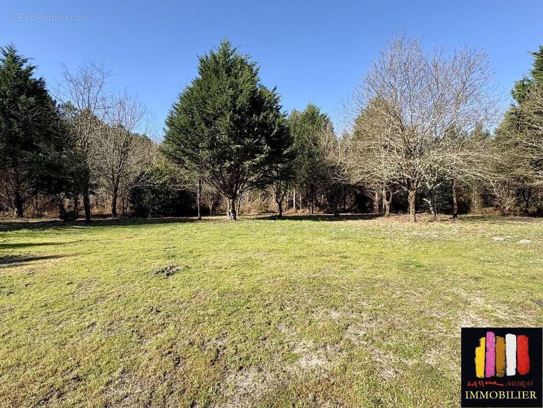 Maison à ONESSE-ET-LAHARIE