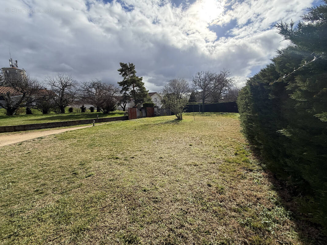 Terrain à CHONAS-L'AMBALLAN