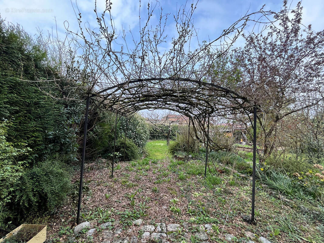 Maison à TIGNIEU-JAMEYZIEU