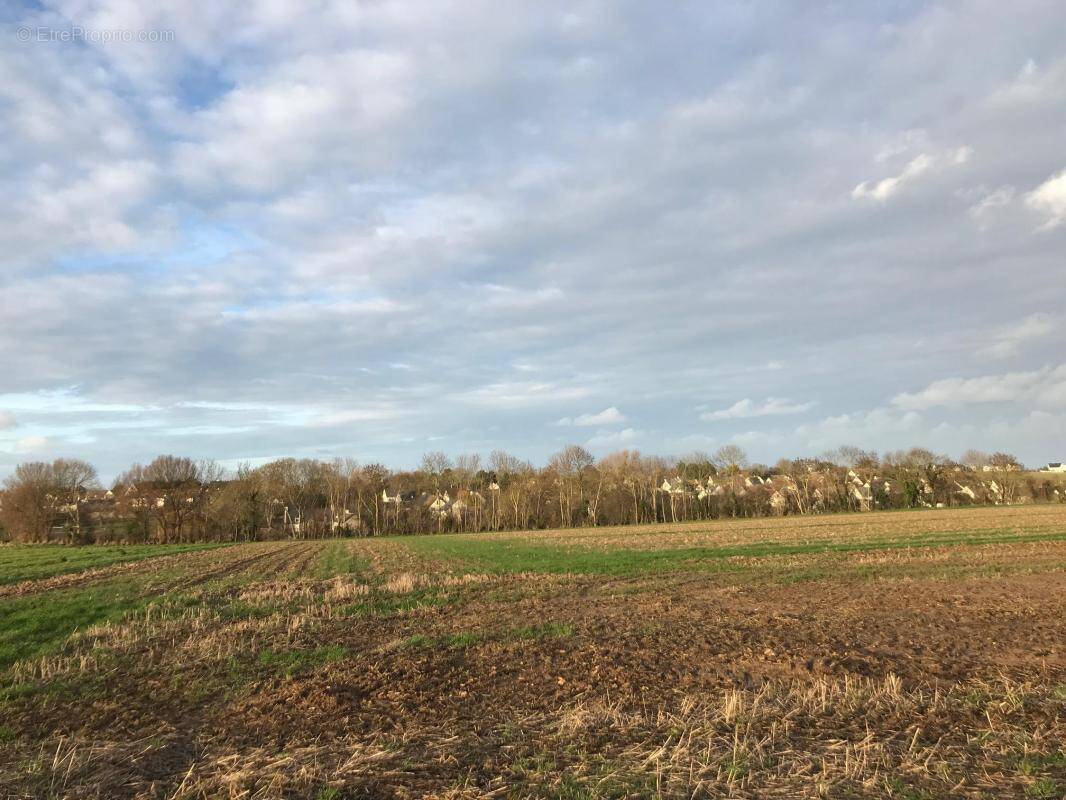 Terrain à FRESNEY-LE-PUCEUX