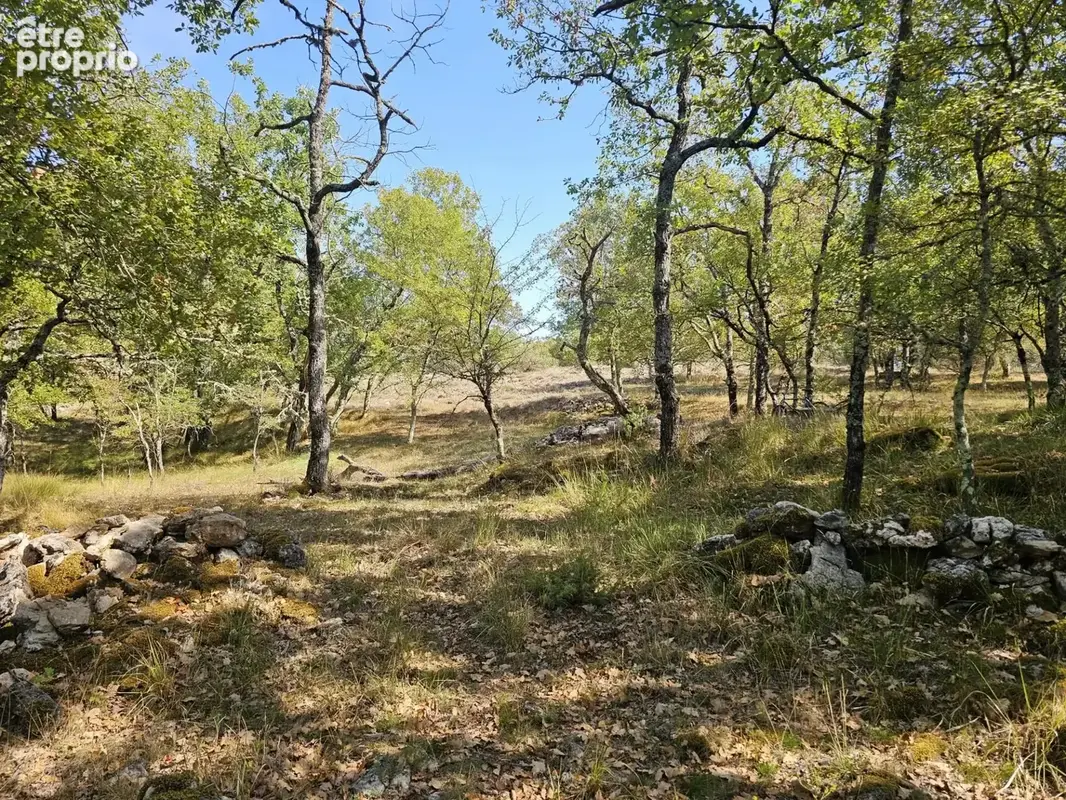 Terrain boisé au calme – accès par piste – cadre naturel préservé - photo 6