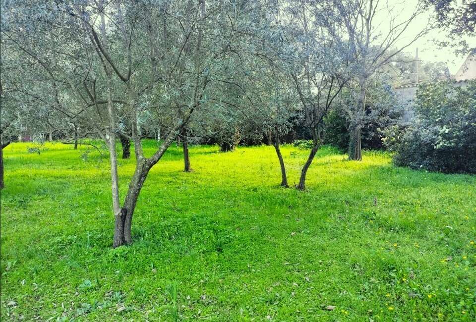 Terrain à DRAGUIGNAN
