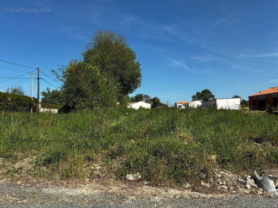 Terrain à COMMEQUIERS