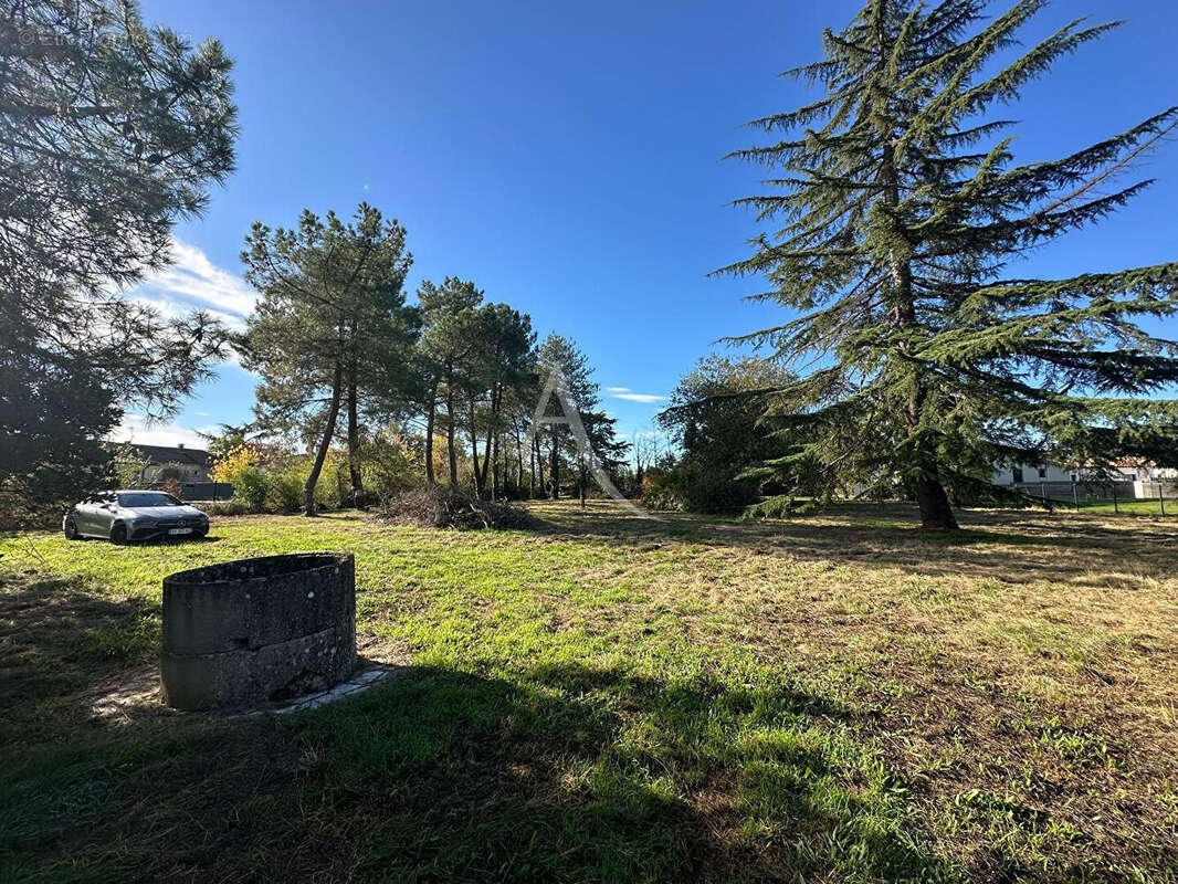 Terrain à BUZET-SUR-TARN