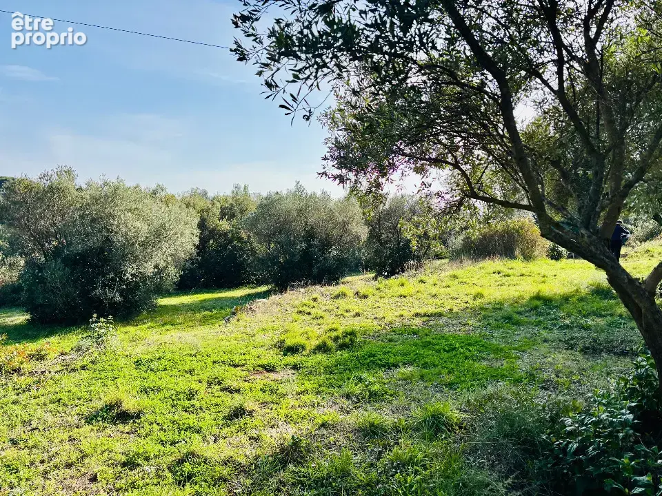 Photo Terrain à Ollioules au prix de 280 000€