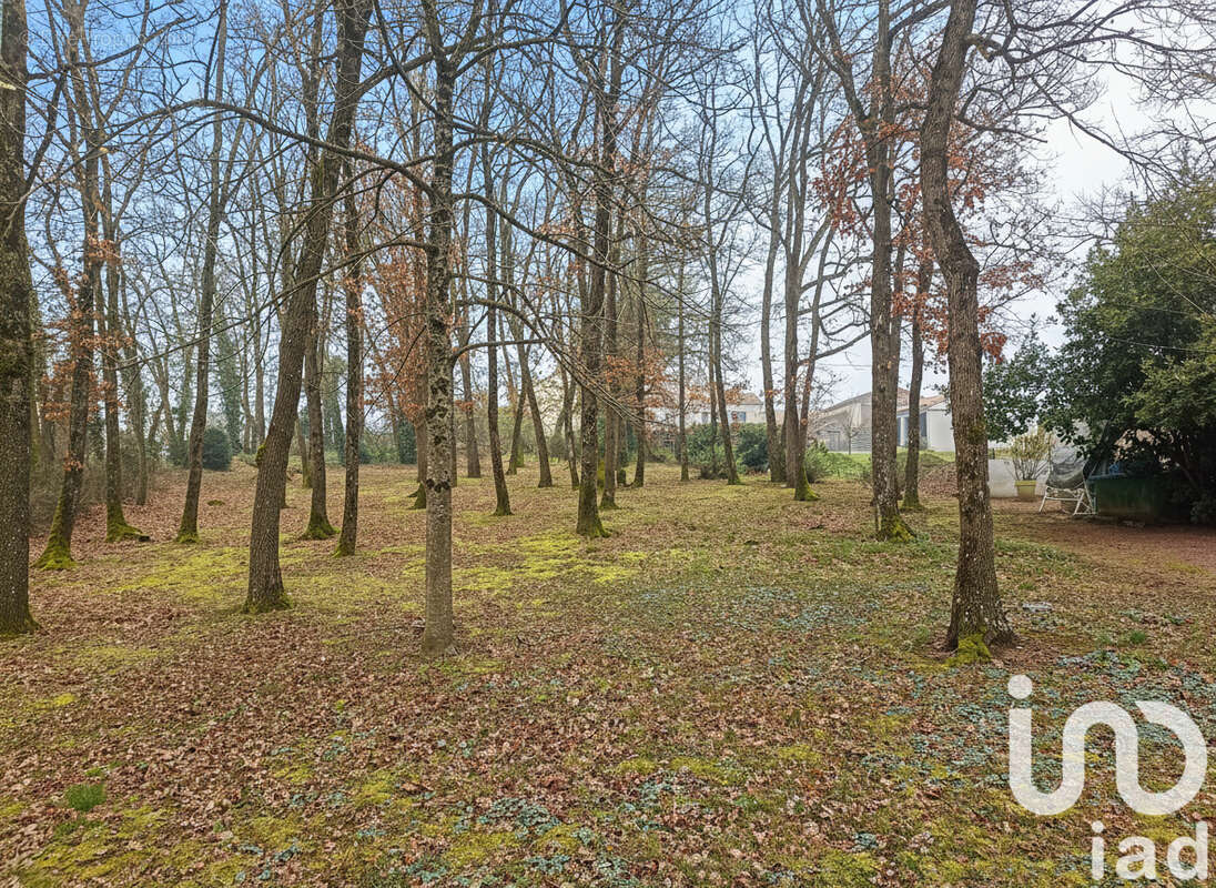 Photo 4 - Maison à SAINT-VARENT