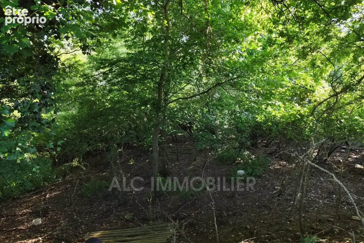 Terrain à vendre à Maresche (72170) - photo 3