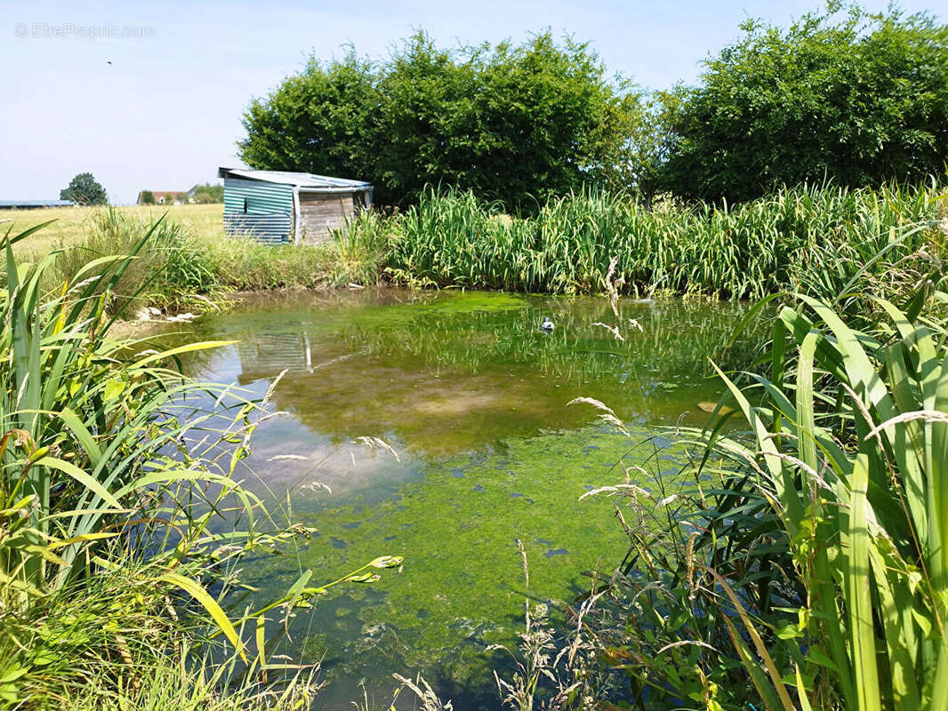 Maison à NOUANS-LES-FONTAINES
