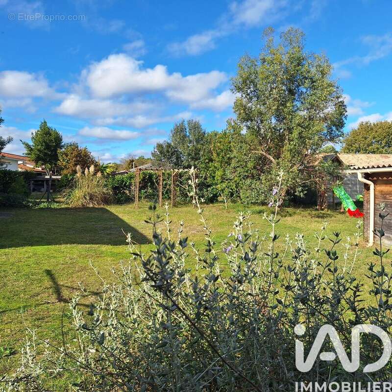 Photo 4 - Maison à AUDENGE