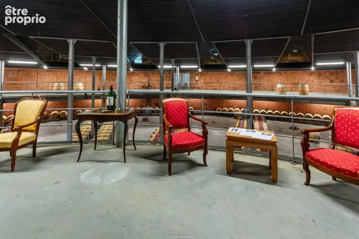 Exploitation viticole a fort potentiel – listrac-medoc - photo 3