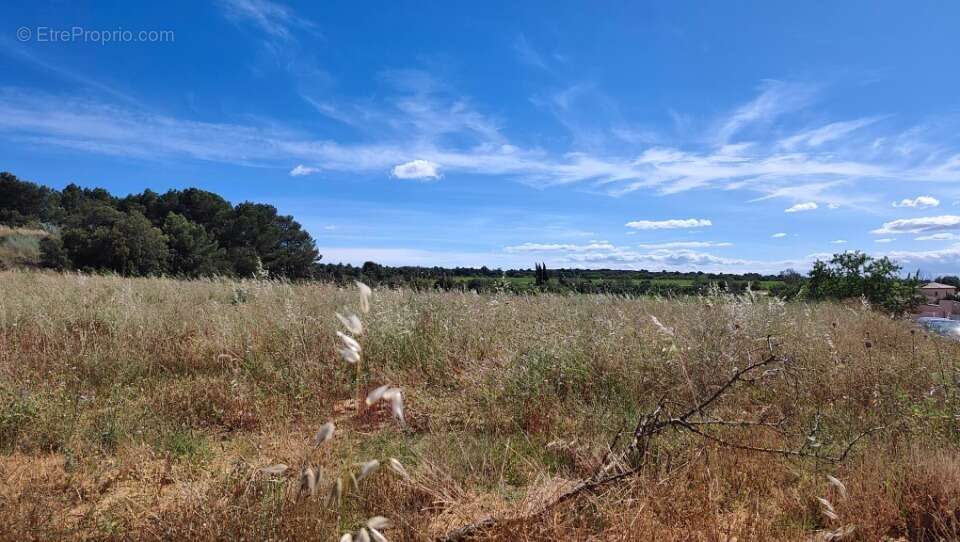 Terrain 303 m² à Salles-D'aude  - photo 2