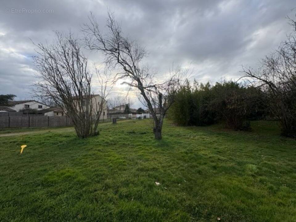 Terrain à PLAISANCE-DU-TOUCH
