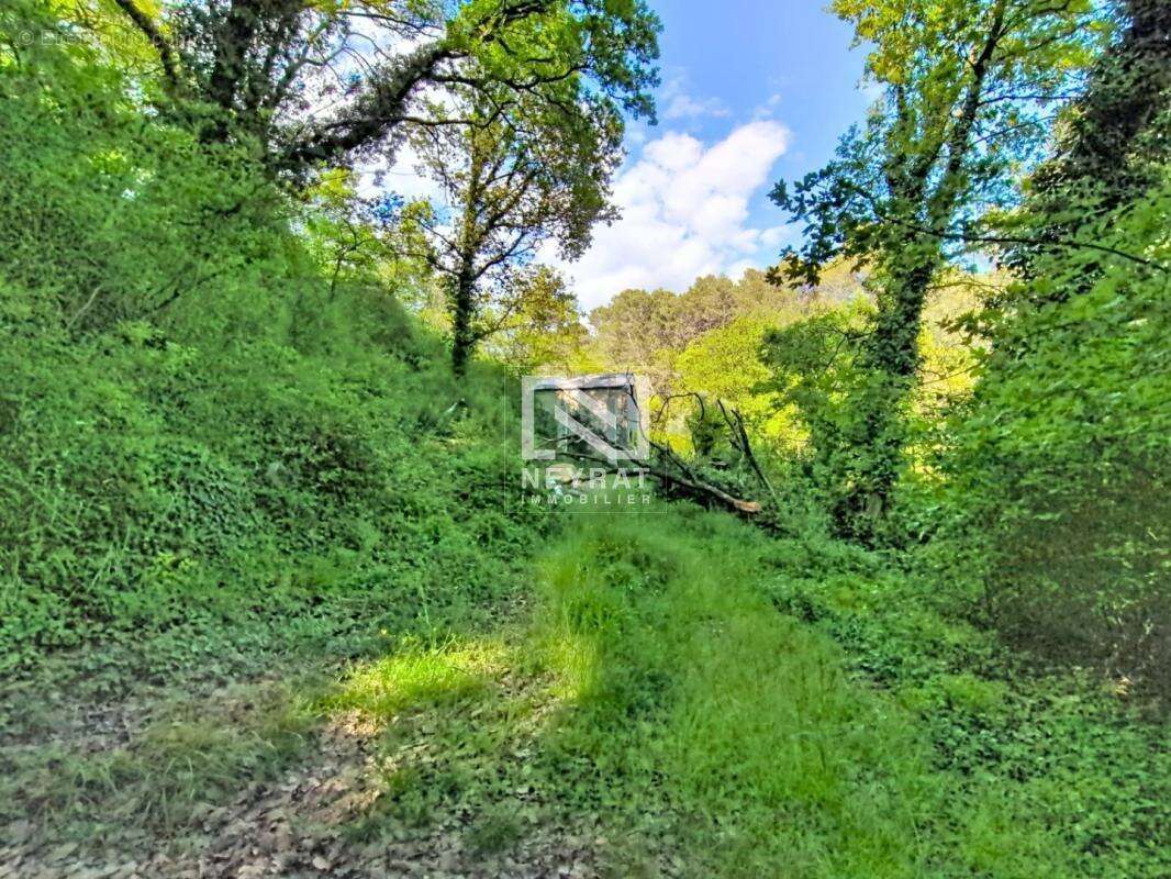 Terrain à TOURRETTES