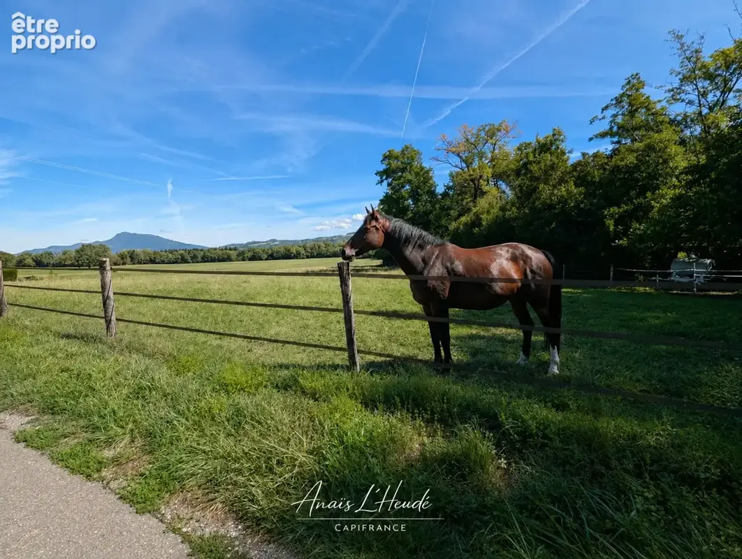 Propriété de caractère en pierre, installations equestres - dépendances et vue montagnes - photo 10