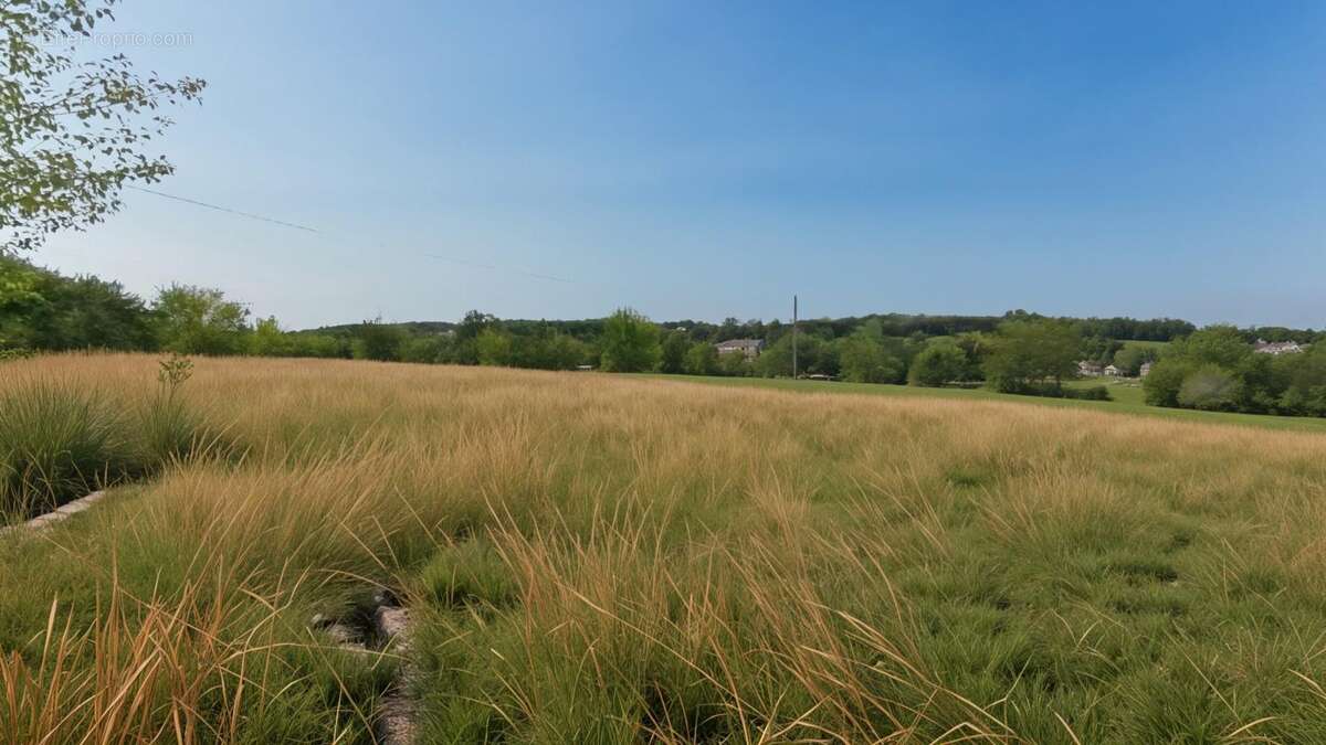 Terrain 2800 m² à Villeneuve-Sur-Lot  - photo 3