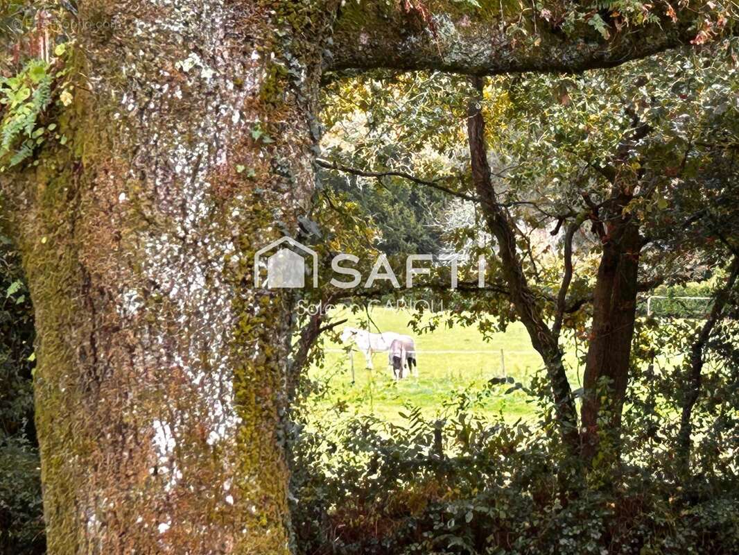 Photo 2 - Maison à INZINZAC-LOCHRIST