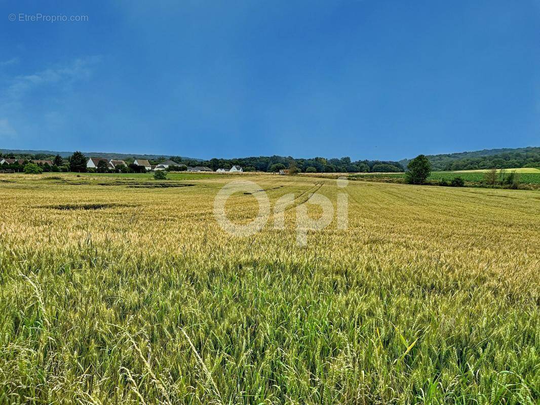Terrain à SACY-LE-GRAND