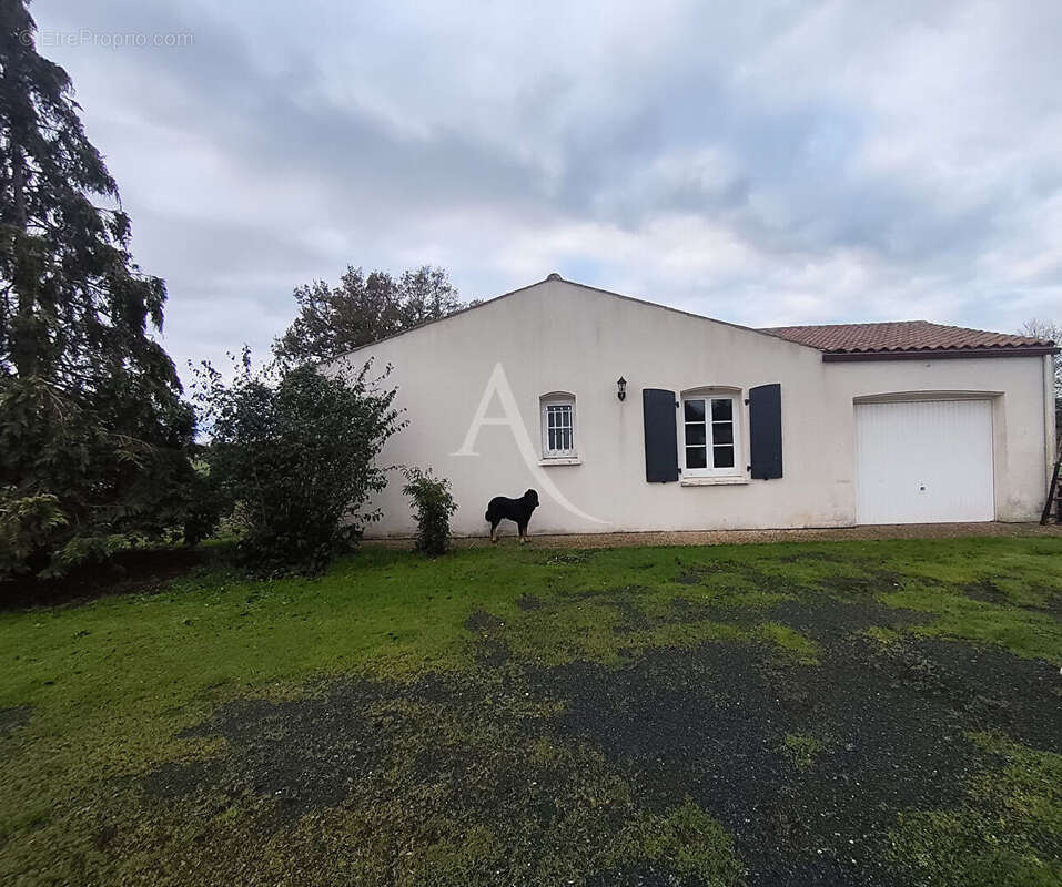 Maison avec grand terrain - photo 4