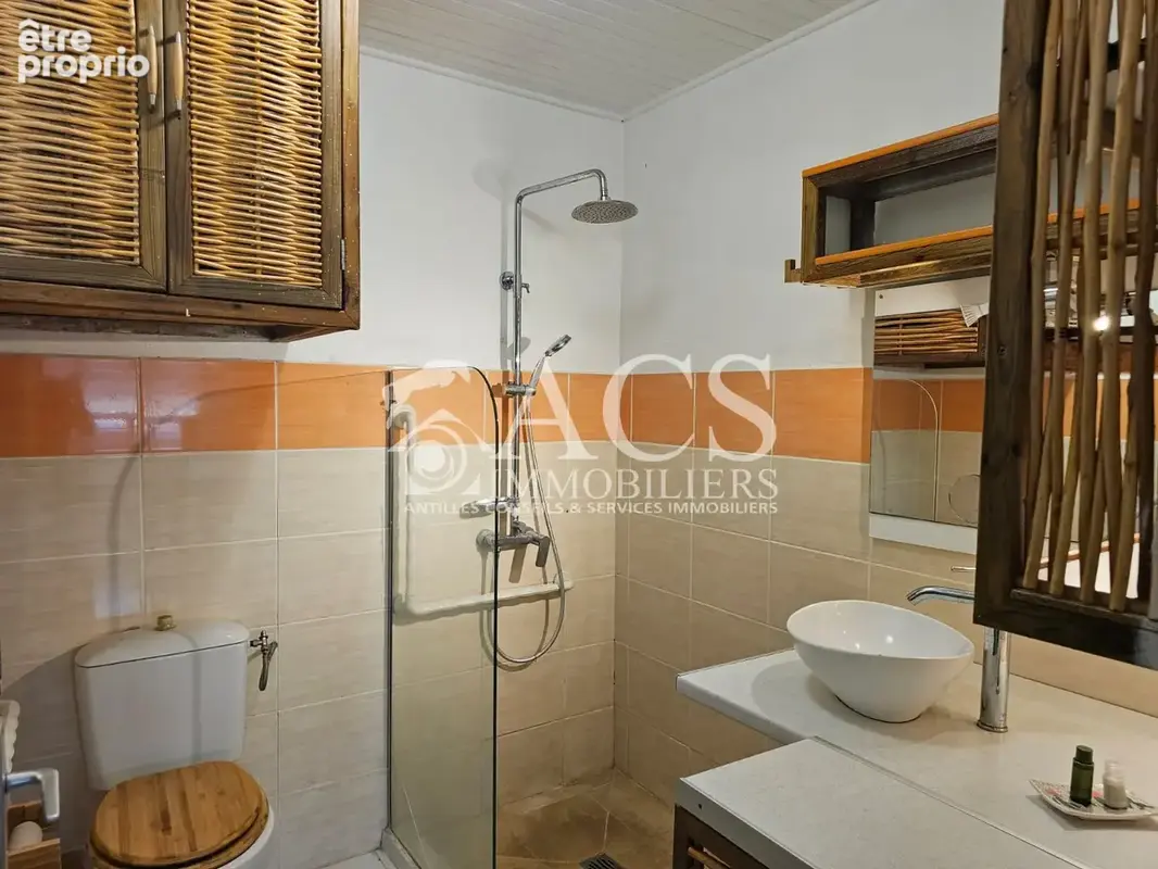 T2 meuble anse a l'ane - photo 6