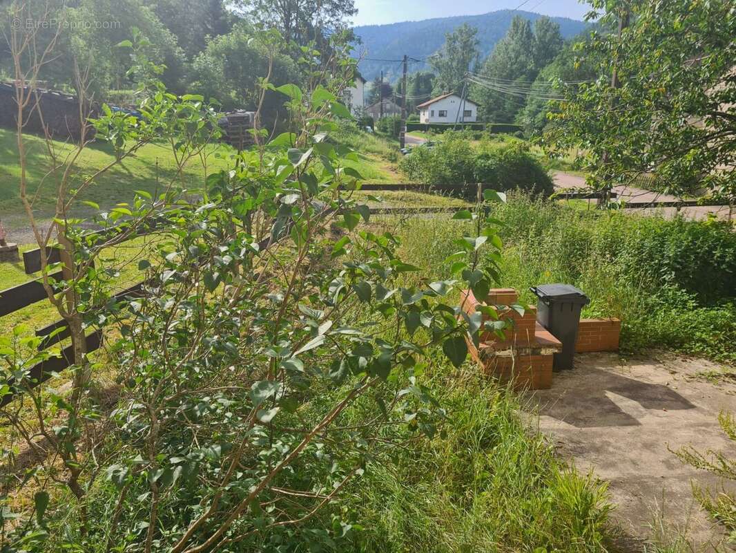 Maison à SAINT-MAURICE-SUR-MOSELLE