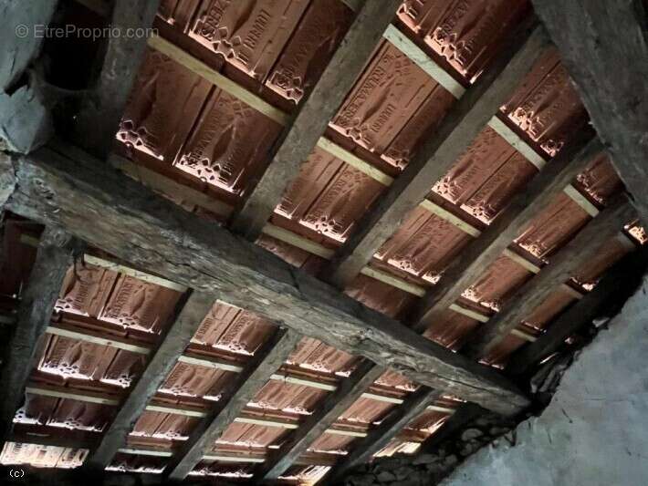 Appartement / Local Commercial avec Courette - photo 13