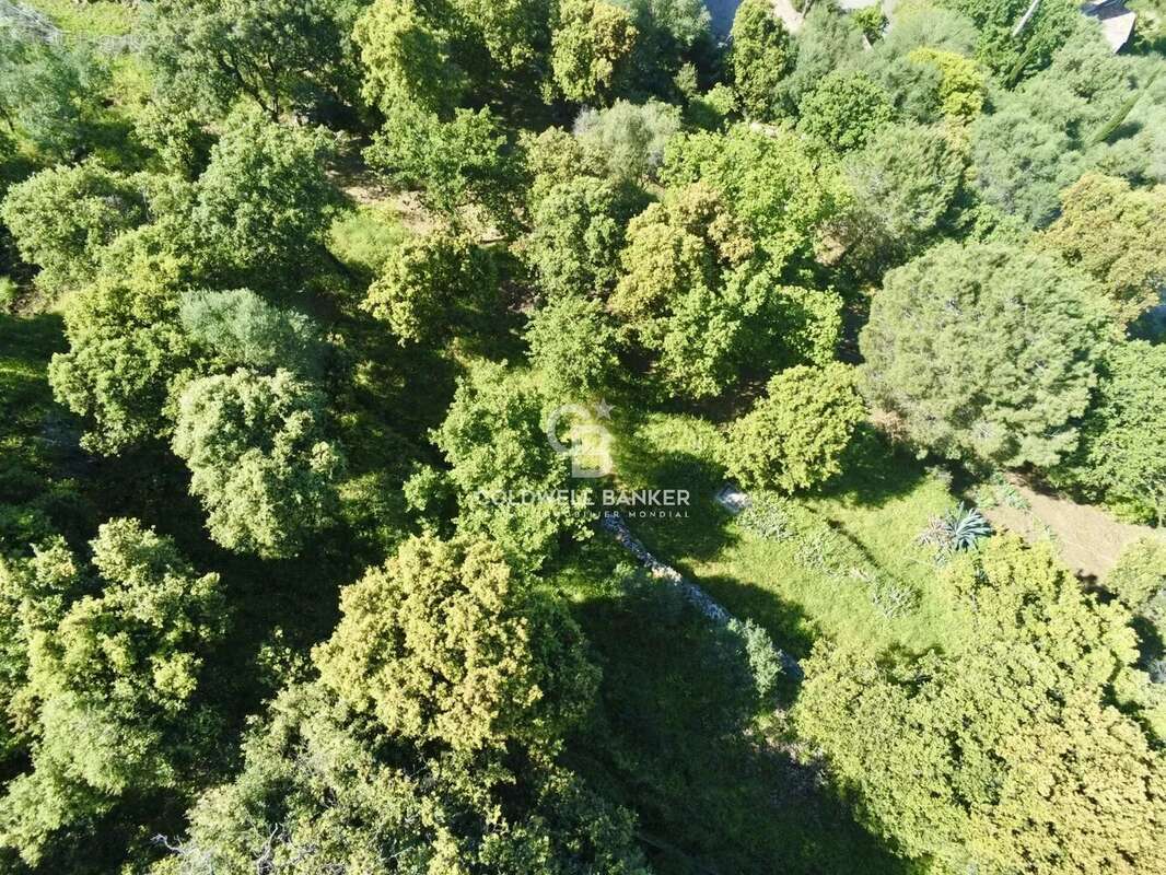 Terrain à MONTICELLO