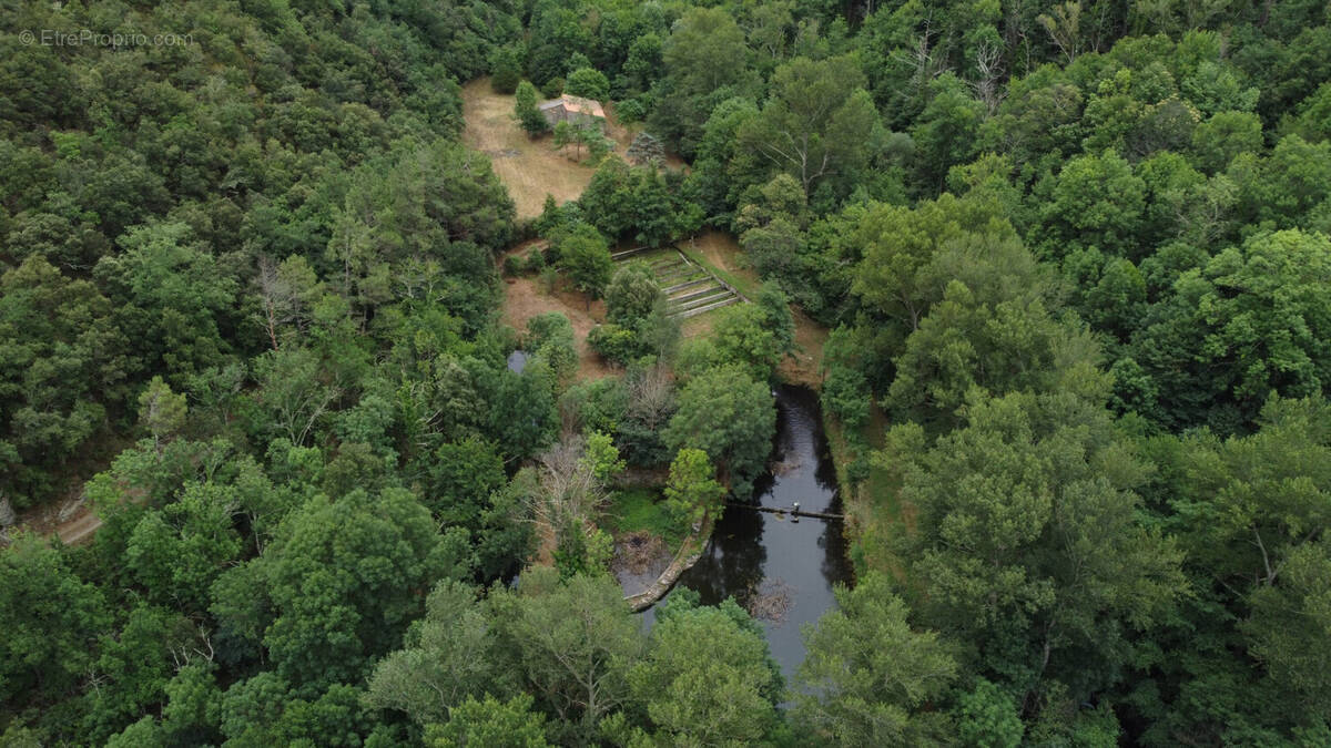 Terrain à VINCA