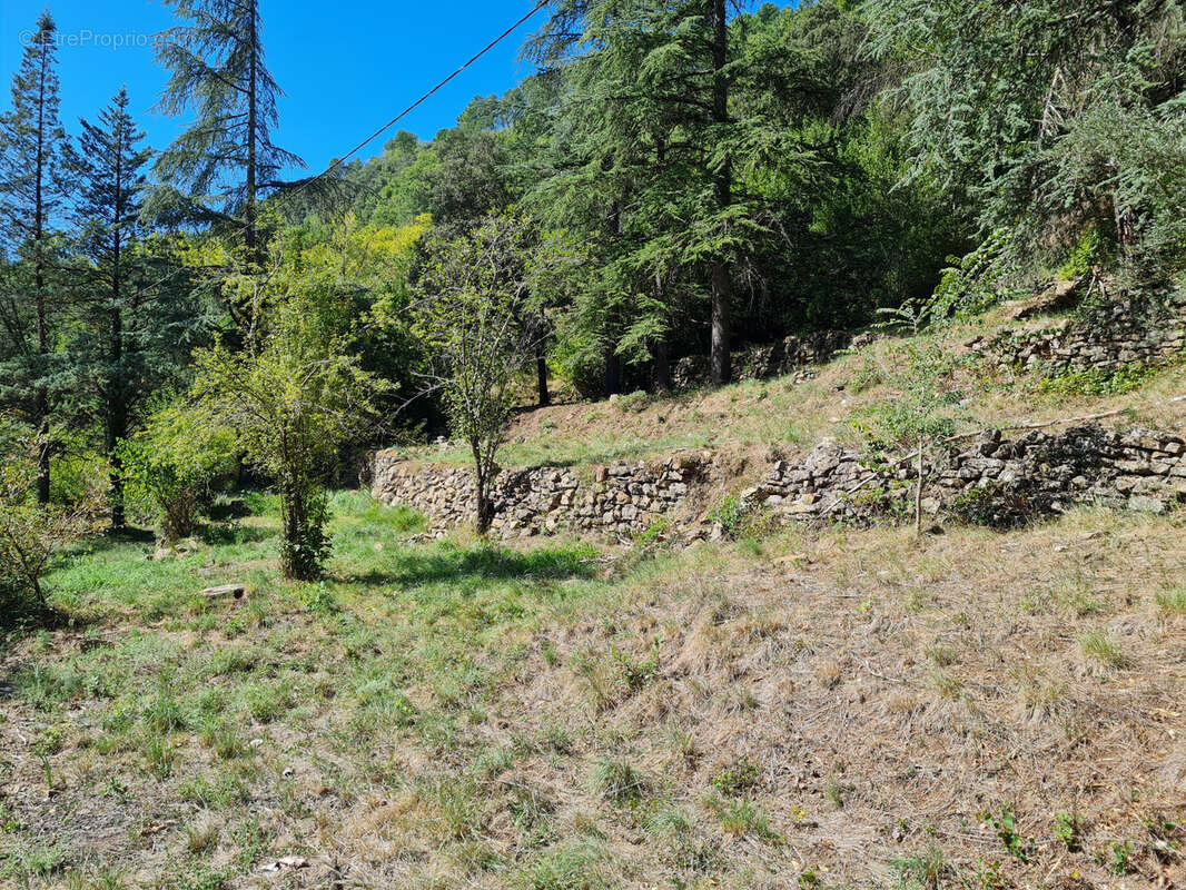 Maison à GENERARGUES