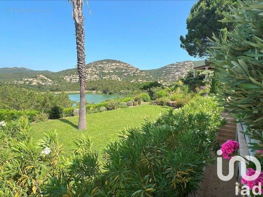 Photo 3 - Maison à LA LONDE-LES-MAURES