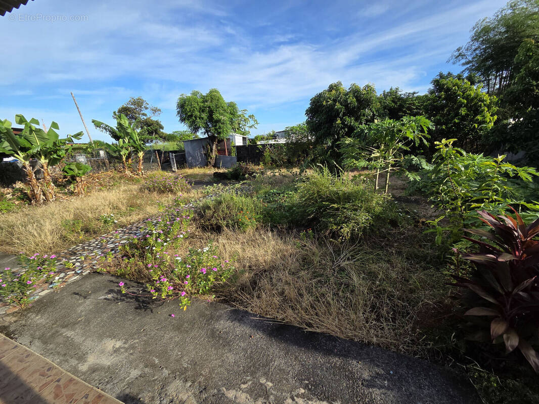 Photo 1 - Terrain à SAINT-ANDRE