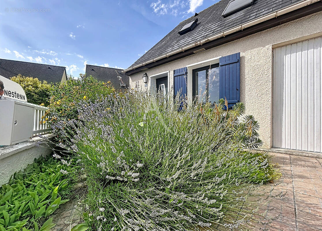 Maison à ANGERS