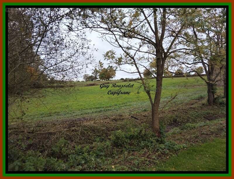 Propriete a vendre faite d'une maison, d'une grange, d'un grand terrain - photo 21