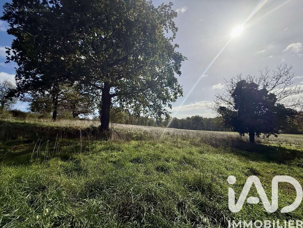 Photo 2 - Terrain à GOURDON