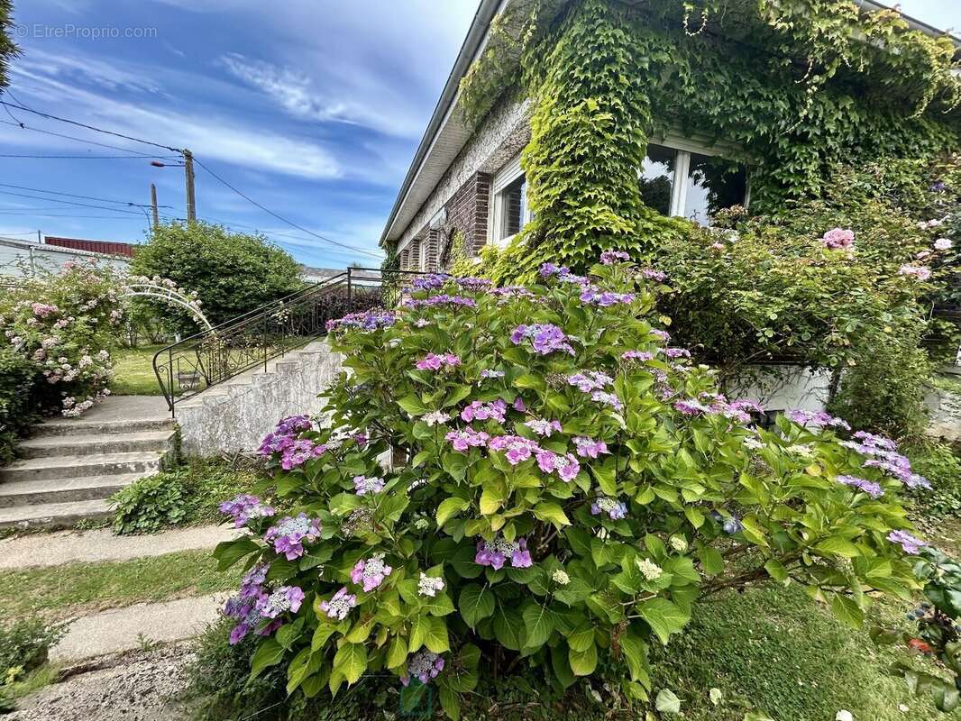 Maison à SAINT-OMER