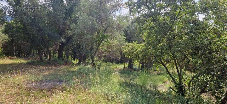 Terrain à LA ROQUETTE-SUR-SIAGNE