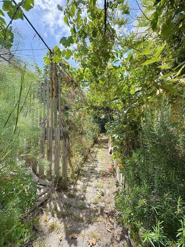 Avignon - Première ceinture -Maison bourgeoise 140m²- jardin - photo 9