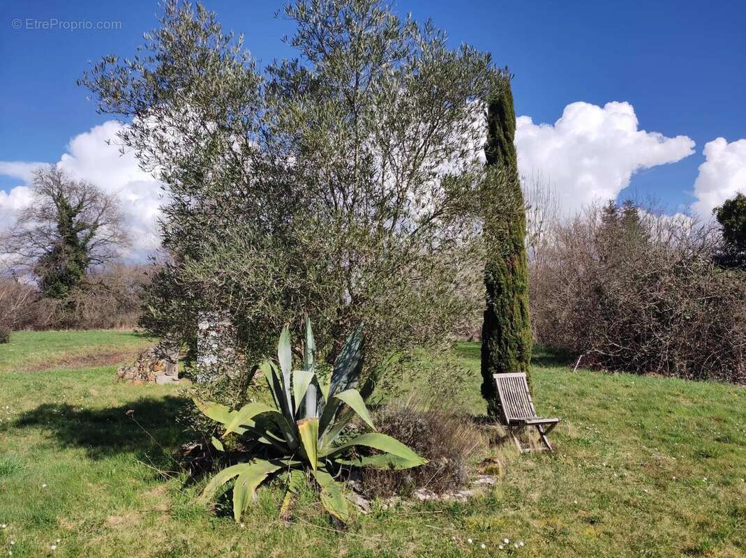 Maison à PIEGUT-PLUVIERS