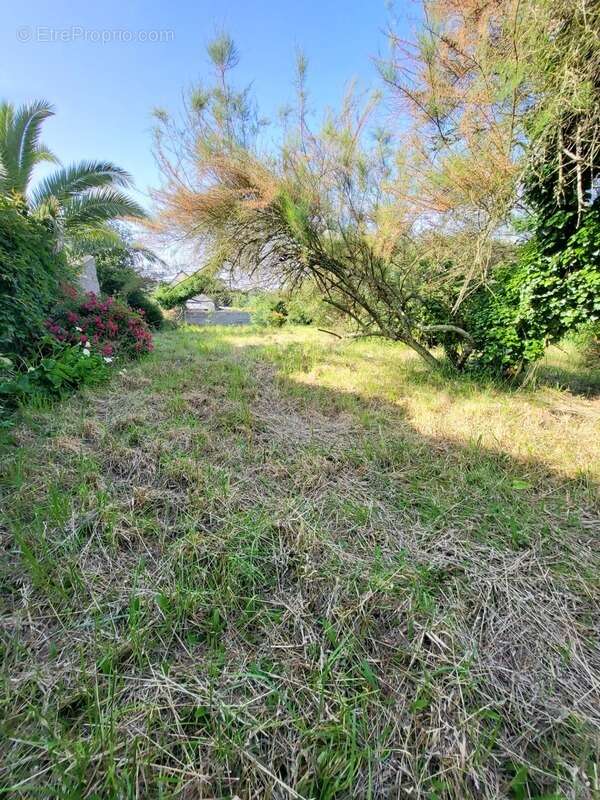 Maison à TELGRUC-SUR-MER