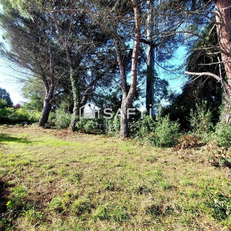 Photo 1 - Commerce à CASTANET-TOLOSAN