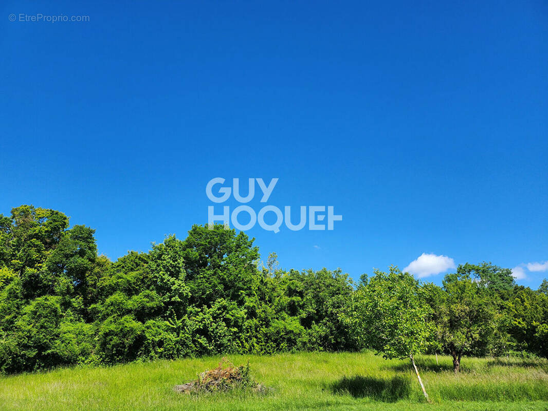 Terrain à VILLENAUXE-LA-GRANDE