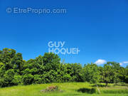 Terrain à VILLENAUXE-LA-GRANDE