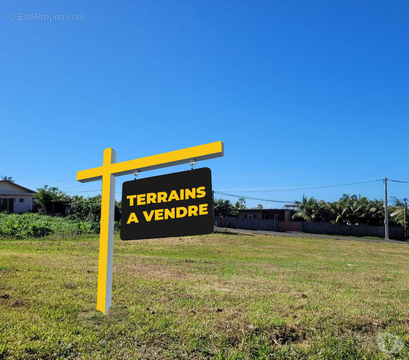 Terrain à LE TAMPON