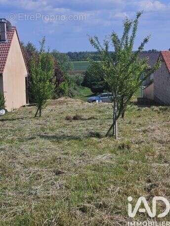 Photo 7 - Terrain à COIN-LES-CUVRY