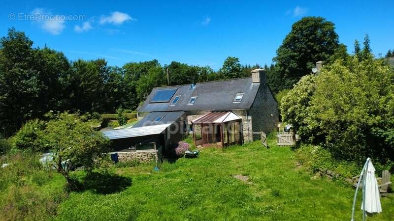 Maison en pierre – 2 500 m² de terrain – Calme absolu et nature - photo 5